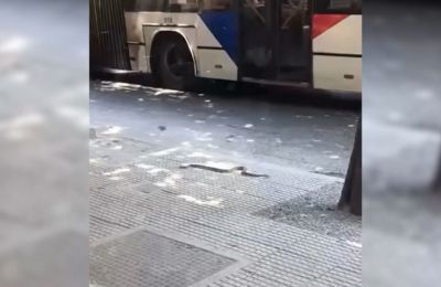 Φίδι έκοβε βόλτες στο κέντρο της Θεσσαλονίκης (ΒΙΝΤΕΟ)