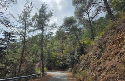 Οι πολίτες καλούνται να ειδοποιούν άμεσα το 1407 ή το 112 σε περίπτωση που εντοπίσουν καπνό ή φωτιά.