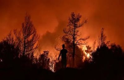 Κάηκε έκταση ενός εκταρίου με αποκαλάμες.