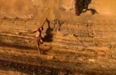 Το περιστατικό έγινε στα Sunset Cliffs.