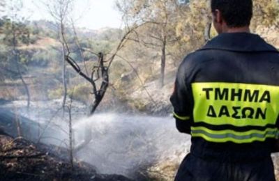 Πέντε πυρκαγιές στο δρόμο Δρούσιας – Προδρομίου