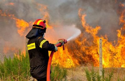 Σκύβαλα η αιτία πυρκαγιάς σε χαράδρα στην κοινότητα Αρεδιού