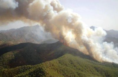 «Κόκκινος Συναγερμός» για κίνδυνο δασικών πυρκαγιών