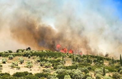 Πυρκαγιές σε αρκετές περιοχές της Ελλάδας.