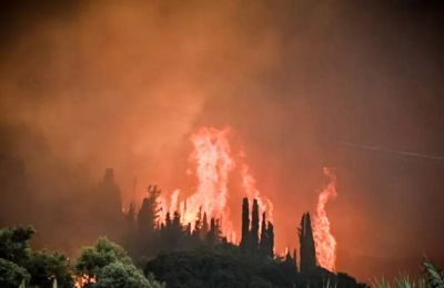 Πρόστιμα σχεδόν €1 εκατ. και 262 συλλήψεις για παραβάσεις πυροπροστασίας από την αρχή του έτους.