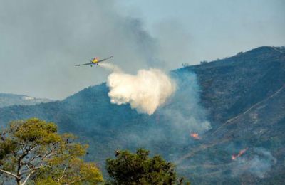 Η διάβρωση, η απώλεια βιοποικιλότητας και οι επιπτώσεις στο περιβάλλον συνεχίζονται πολύ μετά την κατάσβεση της πυρκαγιάς.