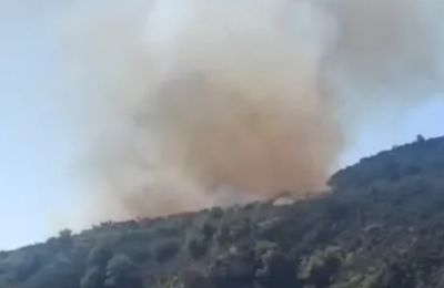 Η έγκαιρη επέμβαση των πυροσβεστικών δυνάμεων περιόρισε τη φωτιά εντός του περιφραγμένου χώρου.