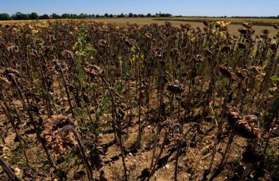 Η κλιματική αλλαγή ενισχύει τις υψηλές θερμοκρασίες και παρατείνει τα κύματα ζέστης.