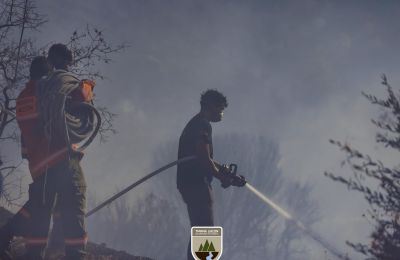 Το Τμήμα Δασών καλεί τους πολίτες να αποφεύγουν ενέργειες που μπορεί να προκαλέσουν πυρκαγιά.