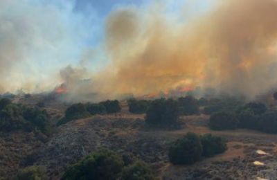 Ο φάκελος διαβιβάστηκε στο Αρχηγείο Αστυνομίας και αναμένεται να σταλεί στη Νομική Υπηρεσία εντός των ημερών.