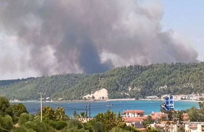Δείτε βίντεο.