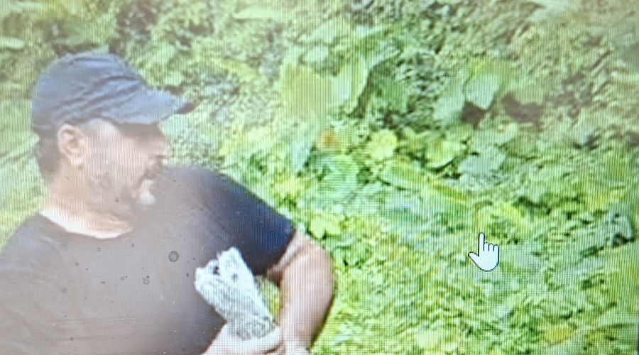 Μυρμήγκια, δυσκολία και… ένας τεράστιος πύθωνας στην τελευταία του περιπέτεια.