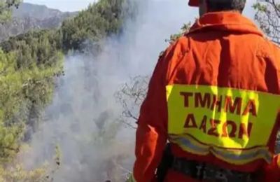 Αφορμή οι δύο πυρκαγιές που ξέσπασαν το Σάββατο στη Λυσό.