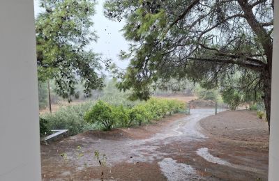 Σημερινή εικόνα του βροχερού καιρού από τον Μαθιάτη (ΦΩΤΟΓΡΑΦΙΑ: ΚΑΙΡΟΦΙΛΟΙ ΚΥΠΡΟΥ)