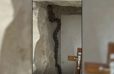 Το φίδι εντοπίστηκε μέσα σε δωμάτιο της έπαυλης, προκαλώντας αναστάτωση στους παραθεριστές («Πολίτης»).