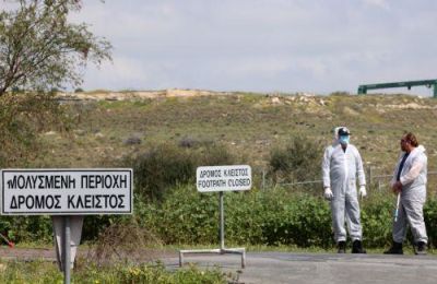 Σε αναμονή παραμένουν κτηνοτρόφοι που έχασαν το ζωικό τους κεφάλαιο, ενώ καθυστερεί και η επαναλειτουργία των μονάδων τους.
