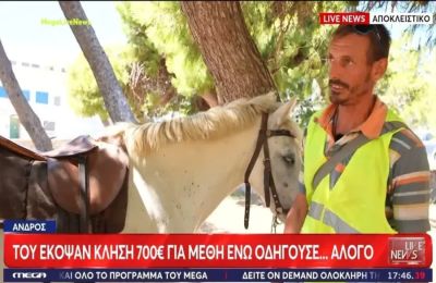 Το περιστατικό έγινε στην Άνδρο.