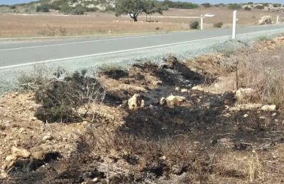Δύο εστίες πυρκαγιάς κοντά στο Κάβο Γκρέκο