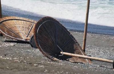 Στο «μικροσκόπιο» του Τμήματος Γεωργίας οι ζημιές από την καταιγίδα