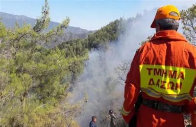 Πυρκαγιά τώρα στην Λαπάτσα - Σε εξέλιξη η κατάσβεση της