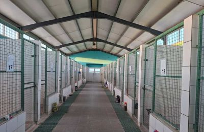 Το ξενοδοχείο Mount Olympus Kennel φιλοξενεί σκυλιά όλων των μεγεθών στο Γέρι.