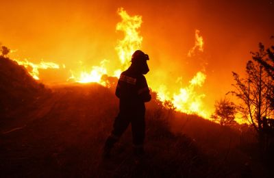 Η επέμβαση των δασοπυροσβεστικών δυνάμεων ήταν άμεση.
