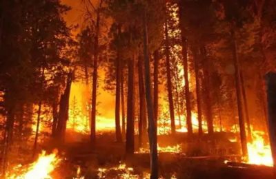 Βρίσκονται υπό διερεύνηση τα αίτια της πυρκαγιάς.