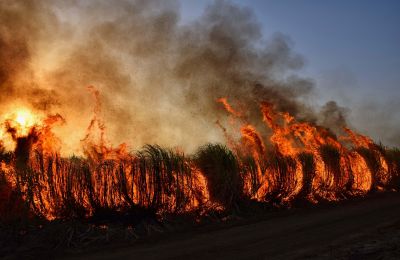Πυρκαγιά κοντά στον αυτοκινητόδρομο