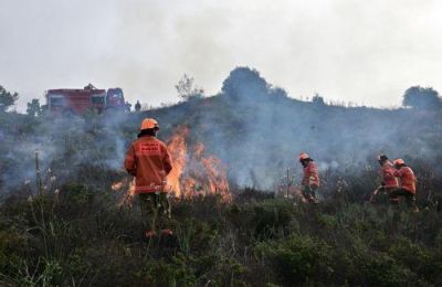 Άμεση ήταν η επέμβαση των δασοπυροσβεστικών δυνάμεων και της Πυροσβεστικής Υπηρεσίας.