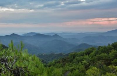 Ο άνδρας ήταν καλά στην υγεία του και παραλήφθηκε από μέλη της οικογένειάς του.