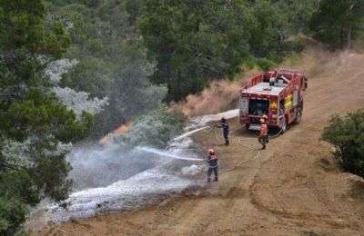 Τα αίτια πρόκλησης της πυρκαγιάς διερευνώνται.