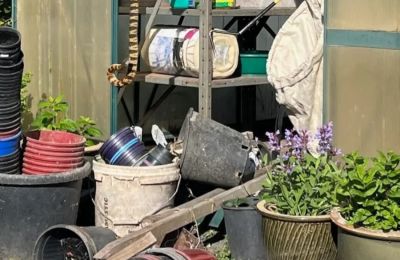 Ανησυχείτε για φίδια στην αυλή σας; Τα 6 σημεία που τα προσελκύουν