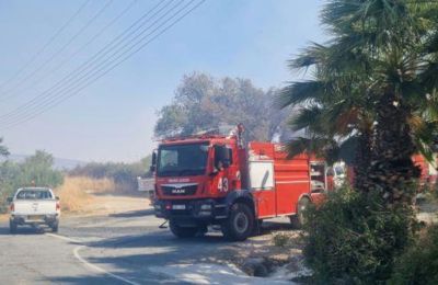 Συναγερμός για δύο δασικές πυρκαγιές σε Αναρίτα και Αναδιού