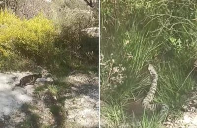 «Δυστυχώς είναι ακόμα εδώ και είναι και τεράστια», έγραψε πολίτης στην ανάρτησή του